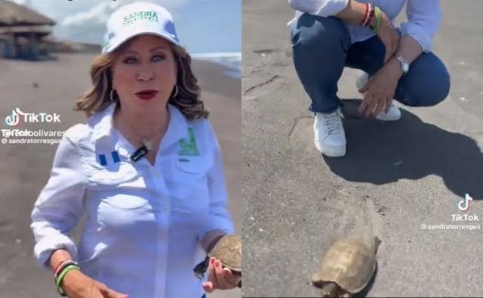 El_principitoGT's tweet photo. No sé quién está peor...

NETO BRAN Y EL RESCATE DEL PERRO PARA DEJARLO EN LA CALLE PASANDO HAMBRE NUEVAMENTE O SANDRA TORRES Y LA LIBERACIÓN DE LA TORTUGA TERRESTRE EN EL MAR...

Terrible nuestra realidad política... https://t.co/zT1gUOWbf0