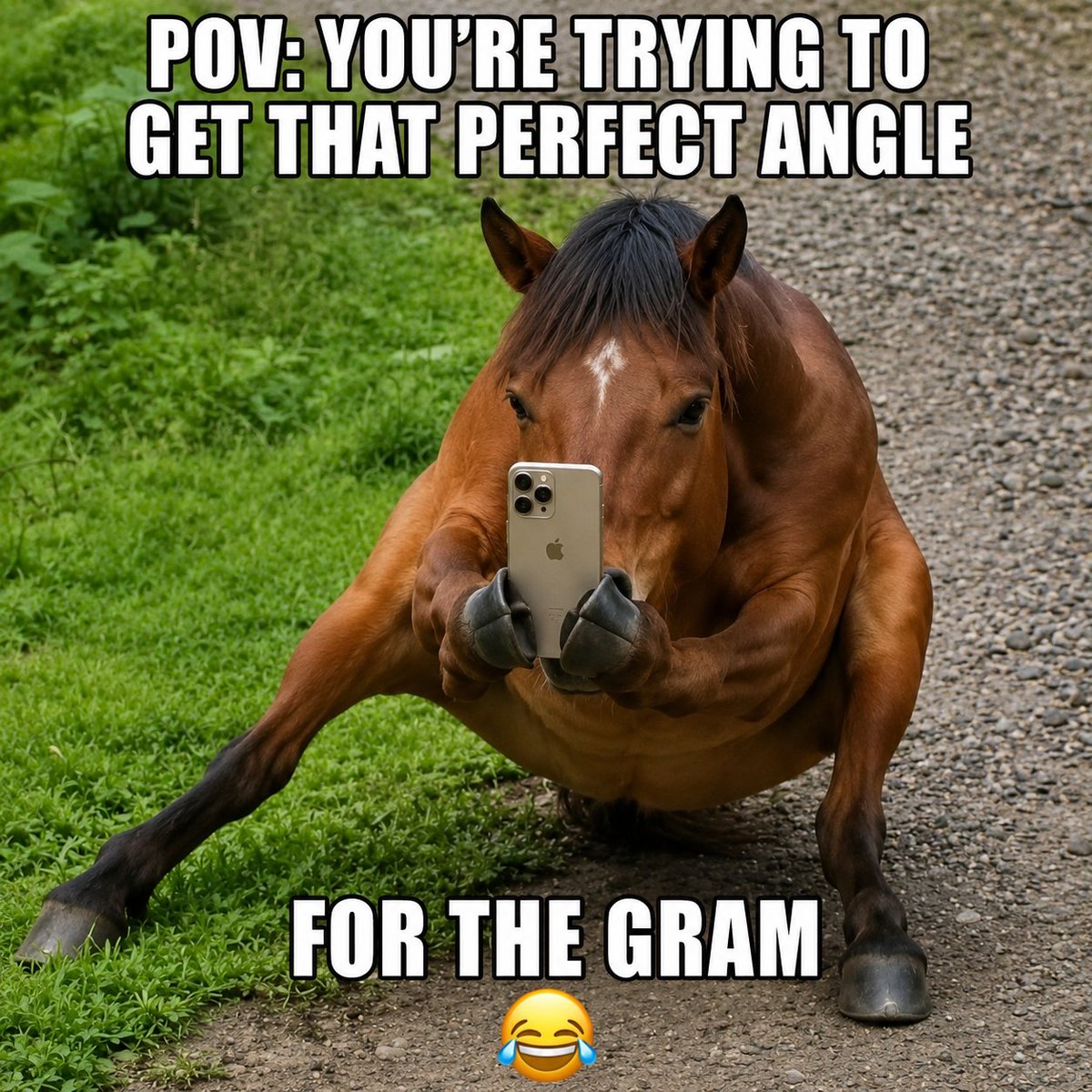 CROUCHINGHORSE's tweet photo. https://t.co/VNvg9xUXW3