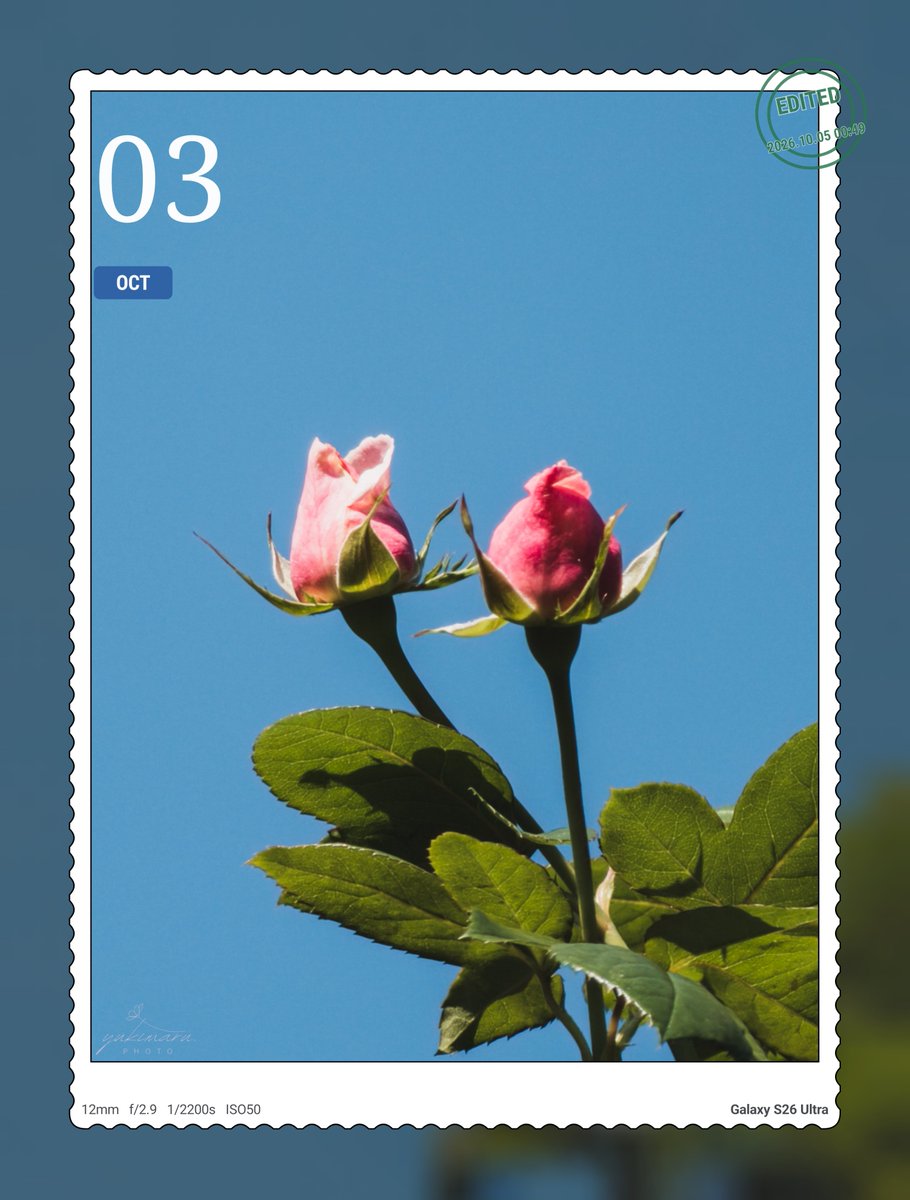 classicEarlGrey's tweet photo. おはよぉ

怒涛の週末が明けて、やってきちゃった月曜日( ᐪ꒳ᐪ )

今週もゆるーくがんばっていこ〜！

よい一日を！(ˆ⩌⩊⩌ˆ)੭

​#国営武蔵丘陵森林公園
#キリトリセカイ
#Exigram https://t.co/Jc5A3sHtEA