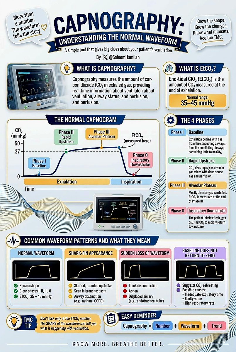 SaleemHamilah's tweet photo. CAPNOGRAPHY: MORE THAN JUST A NUMBER 🫁

Capnography gives real-time information about ventilation by measuring CO₂ throughout the respiratory cycle.

Normal EtCO₂: 35–45 mmHg

#Respiratory #Capnography #EtCO2 #RespiratoryTherapy #AirwayManagement https://t.co/1343txu82O