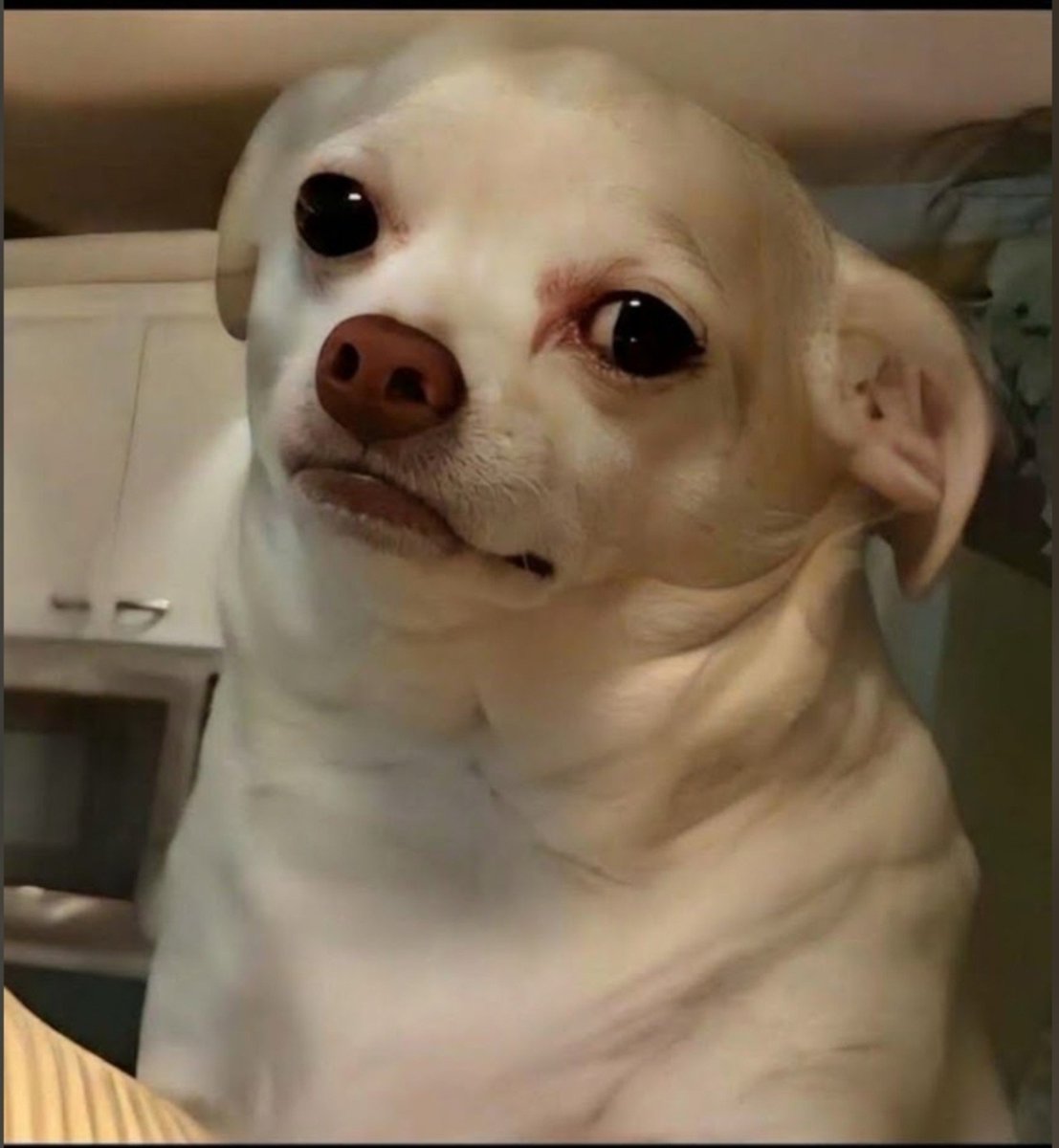 CjCaleb46502's tweet photo. Me watching people peacefully Make illegal money because I know if I try, god fit Use me as an example 😩😩😩 https://t.co/s4ghtaOQqh