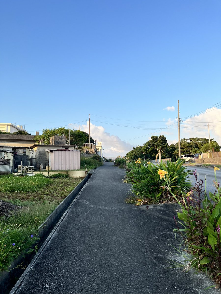 kamerunnerdesu's tweet photo. しごまえラン4K。24度晴れ。寝坊してしまったので短めに🏃‍♂️‍➡️⛰️
#朝ラン #garmin #beatyesterday https://t.co/jfMCWrWxAM