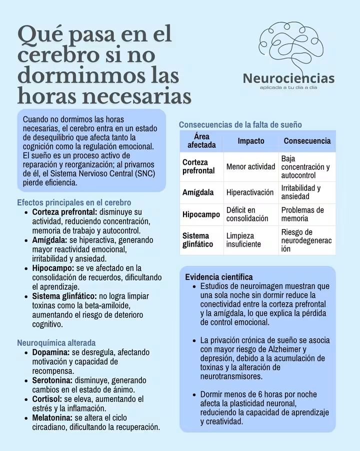 RebolledaGil's tweet photo. Que pasa en el cerebro si no dormimos las horas necesarias👇👇👇👇👇 https://t.co/IFC9g4Tktv
