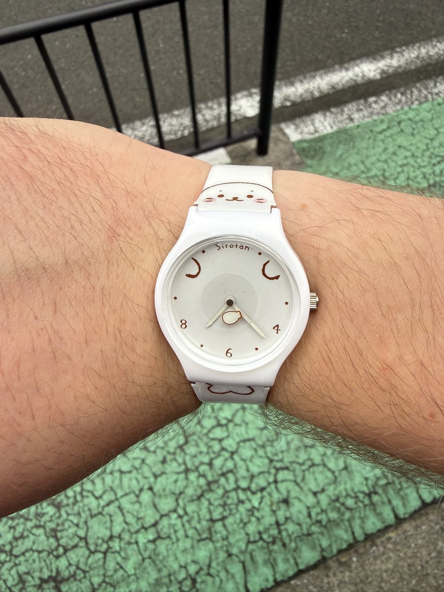 SquidularCeph's tweet photo. What time is it?  Oh it’s seal o clock. https://t.co/mmzGfe31Ak