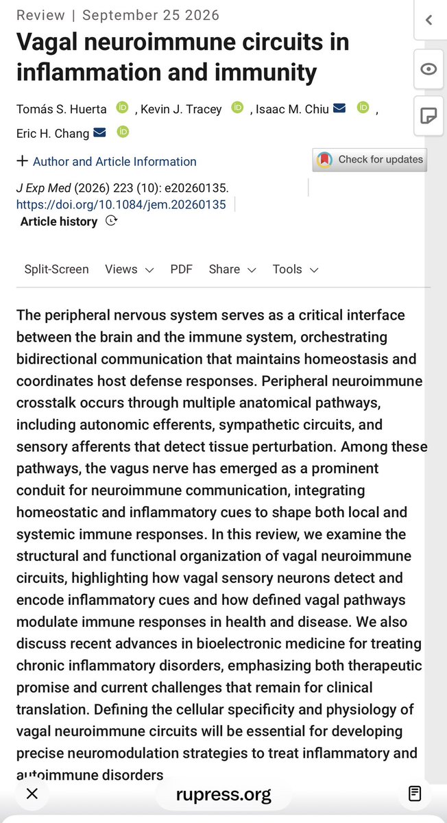 lajefita's tweet photo. Tu sistema inmune está súper conectado a tu sistema nervioso.

Lo hemos platicado mucho por aquí, pero esta revisión en Journal of Experimental Medicine está preciosa porque nos recuerda algo que a veces olvidamos cuando hablamos de inmunidad…que el sistema nervioso autónomo forma parte de la regulación de la respuesta inmune.

El sistema nervioso periférico/autónomo logra una comunicación bidireccional entre cerebro y sistema inmune. Y dentro de esta “plática”, el nervio vago tiene un papel especialmente maravilloso. 
Sus vías sensoriales pueden detectar señales inflamatorias y sus circuitos pueden, directa o indirectamente, modificar respuestas inmunes.

El cerebro recibe información sobre lo que está pasando inmunológicamente en los tejidos y, al mismo tiempo , puede participar en cómo se regula esa respuesta.

Esto no significa que “activar el vago” mágicamente apague la inflamación (ojalá fuera así de sencillo😅) Significa que la inmunidad, cerebro y sistema nervioso autónomo forman circuitos neuroinmunes integrados.

Lo mejor de todo esto es que esto está abriendo la puerta a la neuromodulación como estrategia terapéutica para algunas enfermedades inflamatorias y autoinmunes.

El sistema inmune nunca ha trabajando por su cuenta. Eso es lo más lindo del sistema inmune…que “platica” con tu cerebro.