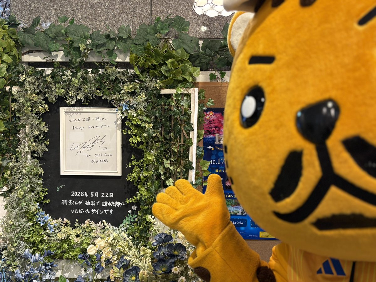 kohsoku_cheetah's tweet photo. おはようミャウ😸。昨日は七北田公園でCM撮影のときに書かれた羽生さんのサインを見てきたよ。七北田公園は整備されてとてと素敵な公演なので、ふらっと遊びにきてサインも見てね‼️ https://t.co/r968D7GQ3H