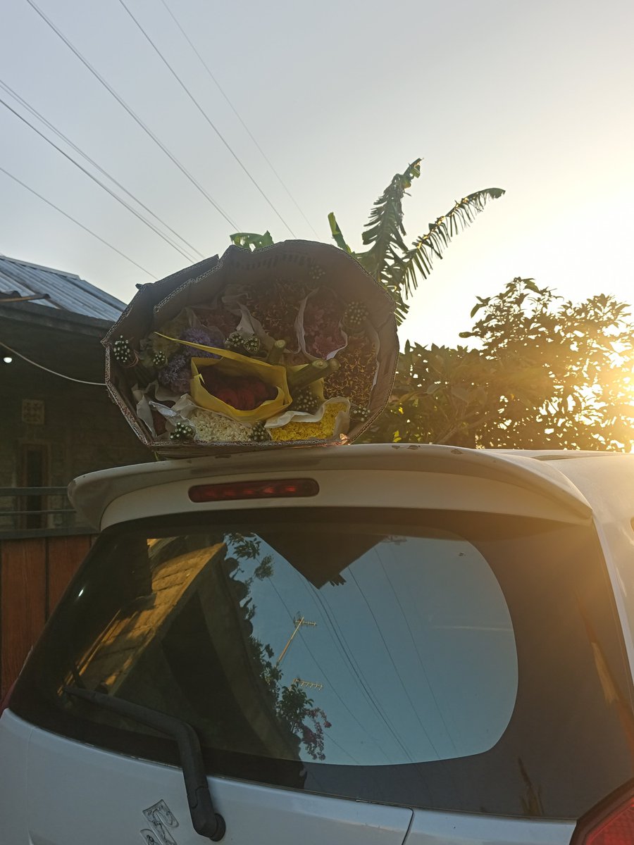 Barunaspur's tweet photo. Yang punya bunga masih tidur, karena baru dateng dari lombok https://t.co/Jh16Hczskx