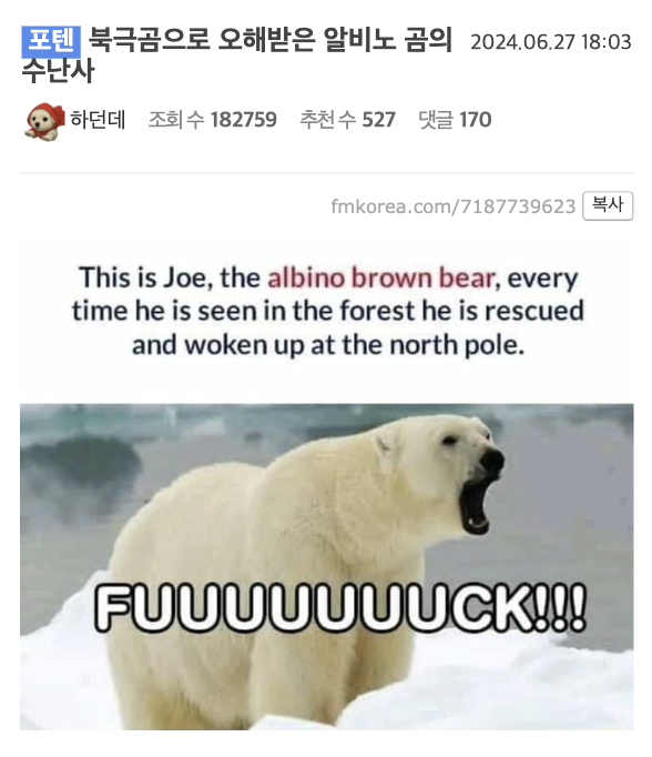 laterinfo_'s tweet photo. 아니 저 북극곰 아니라구요!! 춥다구요!! https://t.co/fW5k7yJV9E