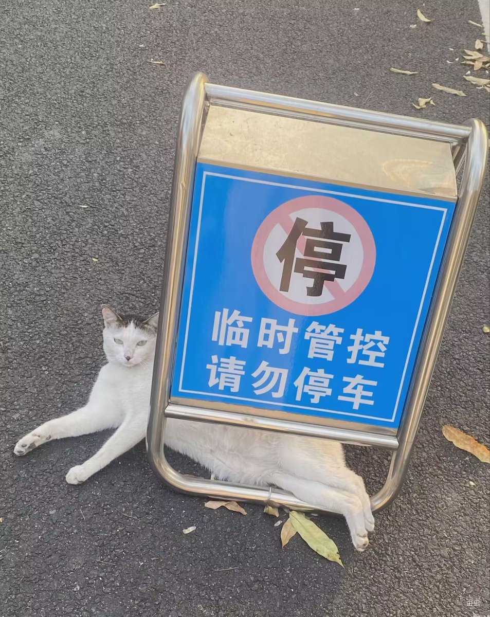 Lalalalaluk's tweet photo. 小咪是丈肓 https://t.co/QsBVhaOK6q