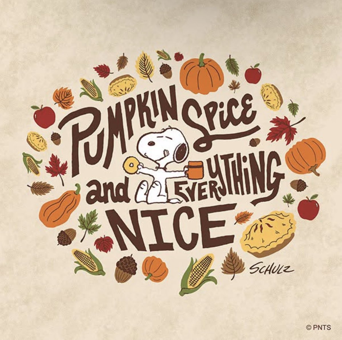 Peanuts_4Fans's tweet photo. It’s pumpkin spice season! #Peanuts https://t.co/ukAWNpQXiV