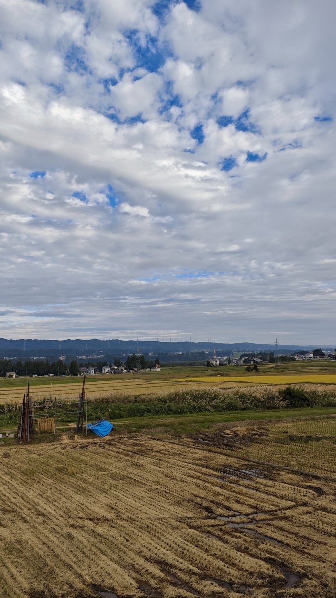 kainotorapong's tweet photo. もくもく雲の十日町市☁
寒いです
山も色付いてきました
あっという間に終わりそうな秋
#hl775 https://t.co/nKxflT1c85