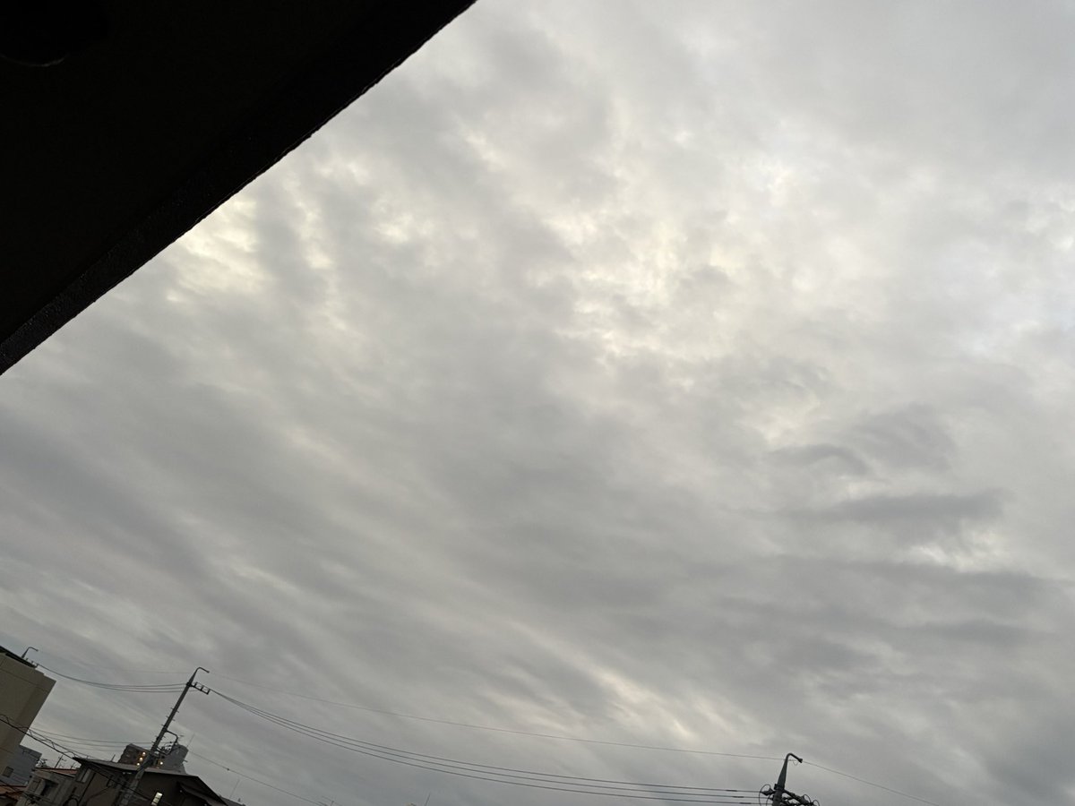 lessiecat's tweet photo. おはようございます。月曜日の朝は曇り。
今日はこんな感じの天気で気温はあまり上がらないらしい。
今日はレジ袋0デーとからしい。
不評極まりない政策ですね。
でも、こんな中割引合戦をしているお店の中でレジ袋サービスを打ち出したらそれなりに効果がありそうなんだけども？
良い一日を。 https://t.co/7jme211vCY