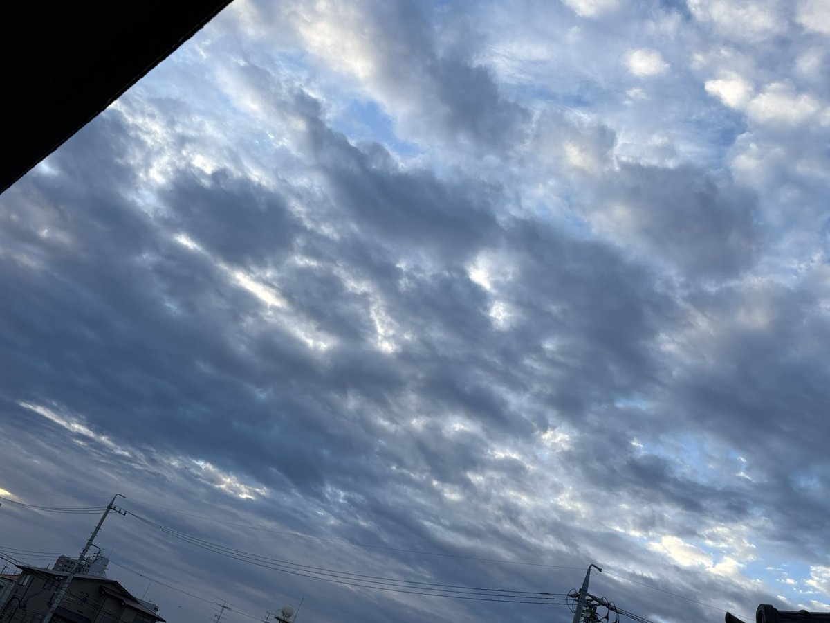 lessiecat's tweet photo. おはようございます。月曜日の朝は曇り。
今日はこんな感じの天気で気温はあまり上がらないらしい。
今日はレジ袋0デーとからしい。
不評極まりない政策ですね。
でも、こんな中割引合戦をしているお店の中でレジ袋サービスを打ち出したらそれなりに効果がありそうなんだけども？
良い一日を。 https://t.co/7jme211vCY