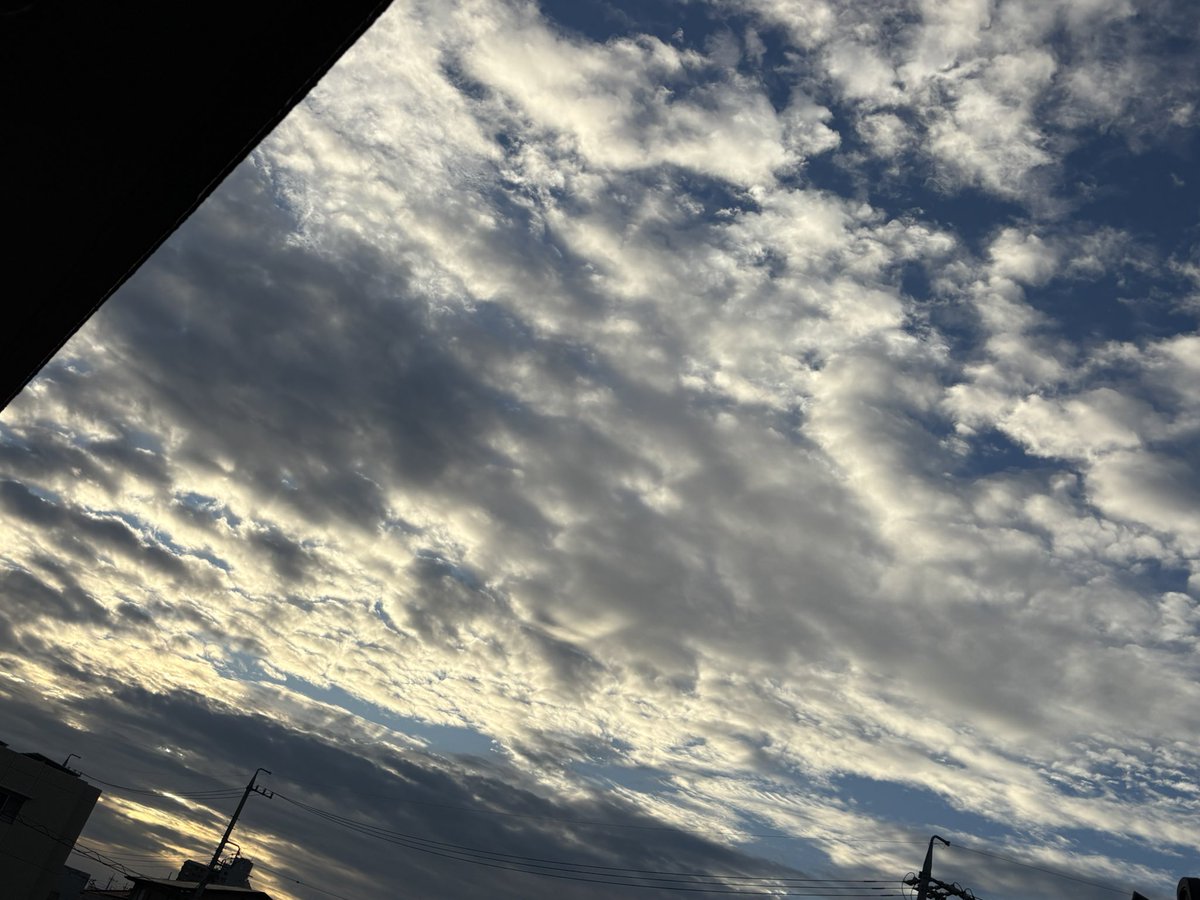 lessiecat's tweet photo. おはようございます。月曜日の朝は曇り。
今日はこんな感じの天気で気温はあまり上がらないらしい。
今日はレジ袋0デーとからしい。
不評極まりない政策ですね。
でも、こんな中割引合戦をしているお店の中でレジ袋サービスを打ち出したらそれなりに効果がありそうなんだけども？
良い一日を。 https://t.co/7jme211vCY