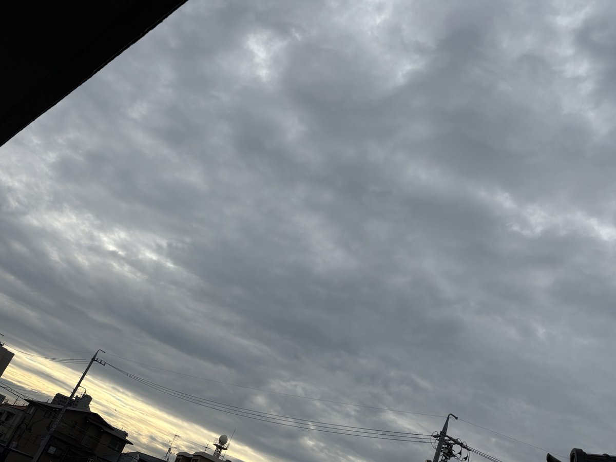 lessiecat's tweet photo. おはようございます。月曜日の朝は曇り。
今日はこんな感じの天気で気温はあまり上がらないらしい。
今日はレジ袋0デーとからしい。
不評極まりない政策ですね。
でも、こんな中割引合戦をしているお店の中でレジ袋サービスを打ち出したらそれなりに効果がありそうなんだけども？
良い一日を。 https://t.co/7jme211vCY