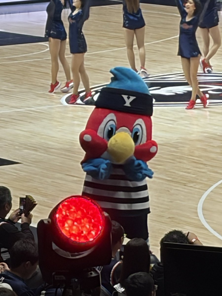yasshi9999's tweet photo. 今シーズン2試合ではBUNTAIでビーコルのホーム！
最後まで接戦だったけど最後に差をつけられちゃいました
ルビーがかわいかった https://t.co/W6pqq9nWNS