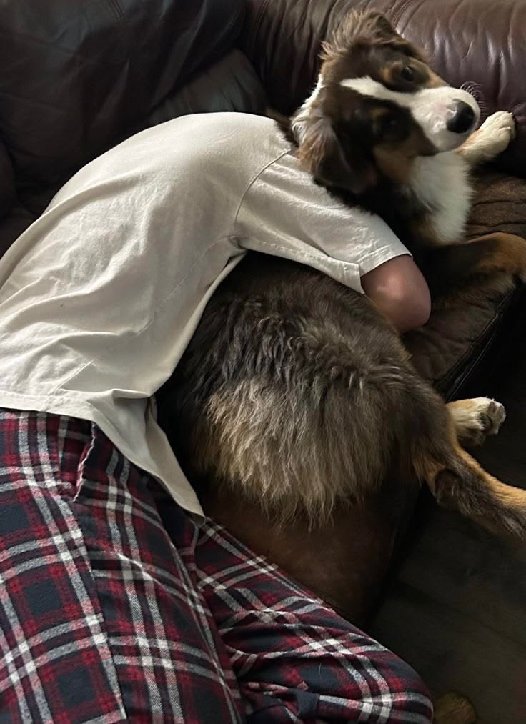 curiouscampbel1's tweet photo. My guard dog 💚 https://t.co/EeMUWbMoED