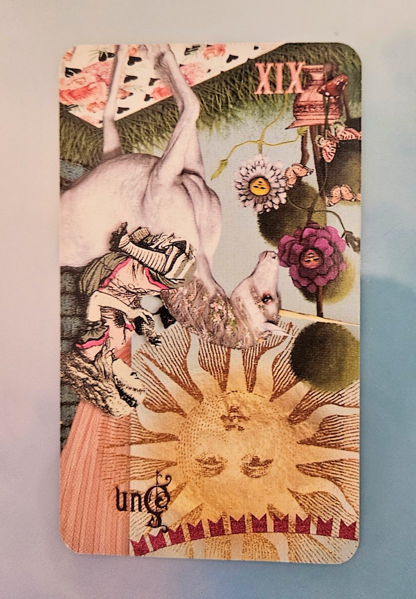 green_rose1010's tweet photo. 🦜小鳥タロット
今日のカード　太陽 逆位置

「まー」は
いつもより少しのんびり

でも　大好きな豆苗を
あげた途端　目がキラッ✨

大きな幸せじゃなくても
こんな小さな喜びで
心が明るくなるんだね

何もかも順調じゃなくていい
小さな「うれしい」を
一つ見つけられたら
それだけで素敵な一日だね https://t.co/eFPY6cB4rS