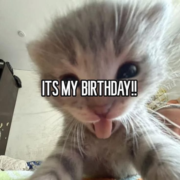 iTH3HUNT3R's tweet photo. | 🎉🎉🎉 https://t.co/2L7PfOCe73