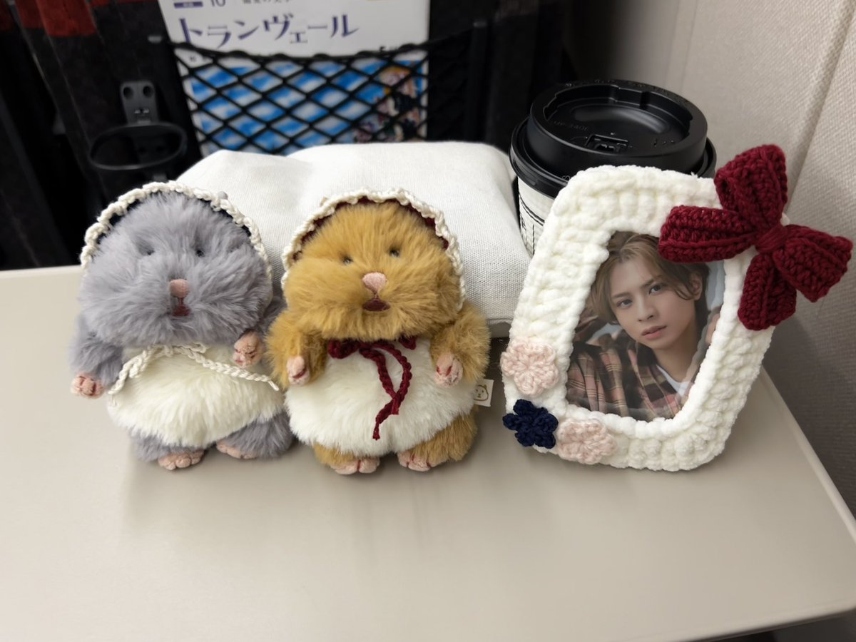 Yue_Ykito's tweet photo. しゅっぱーつ🚄

我が家にはくるぬいが不在のため本日のお供にごまきちときなこ https://t.co/ayy3eYAegW