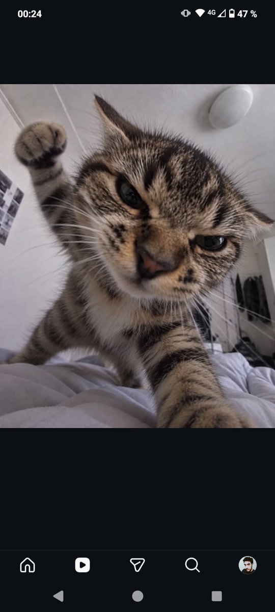 FlynnLoco's tweet photo. Andá a dormir que mañana es lunes https://t.co/LPvXjBlNDH