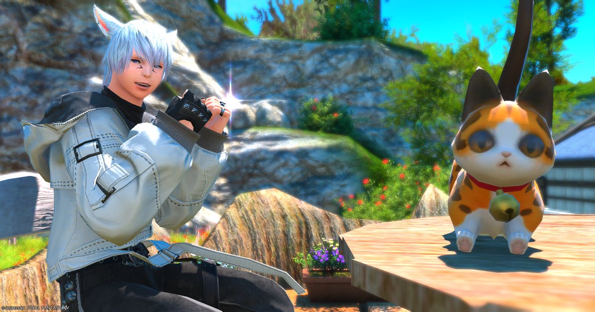 AshuFFXIV's tweet photo. おはよう🐾
#おはミコ #オスッテ #FF14 https://t.co/g7lFesTPc6