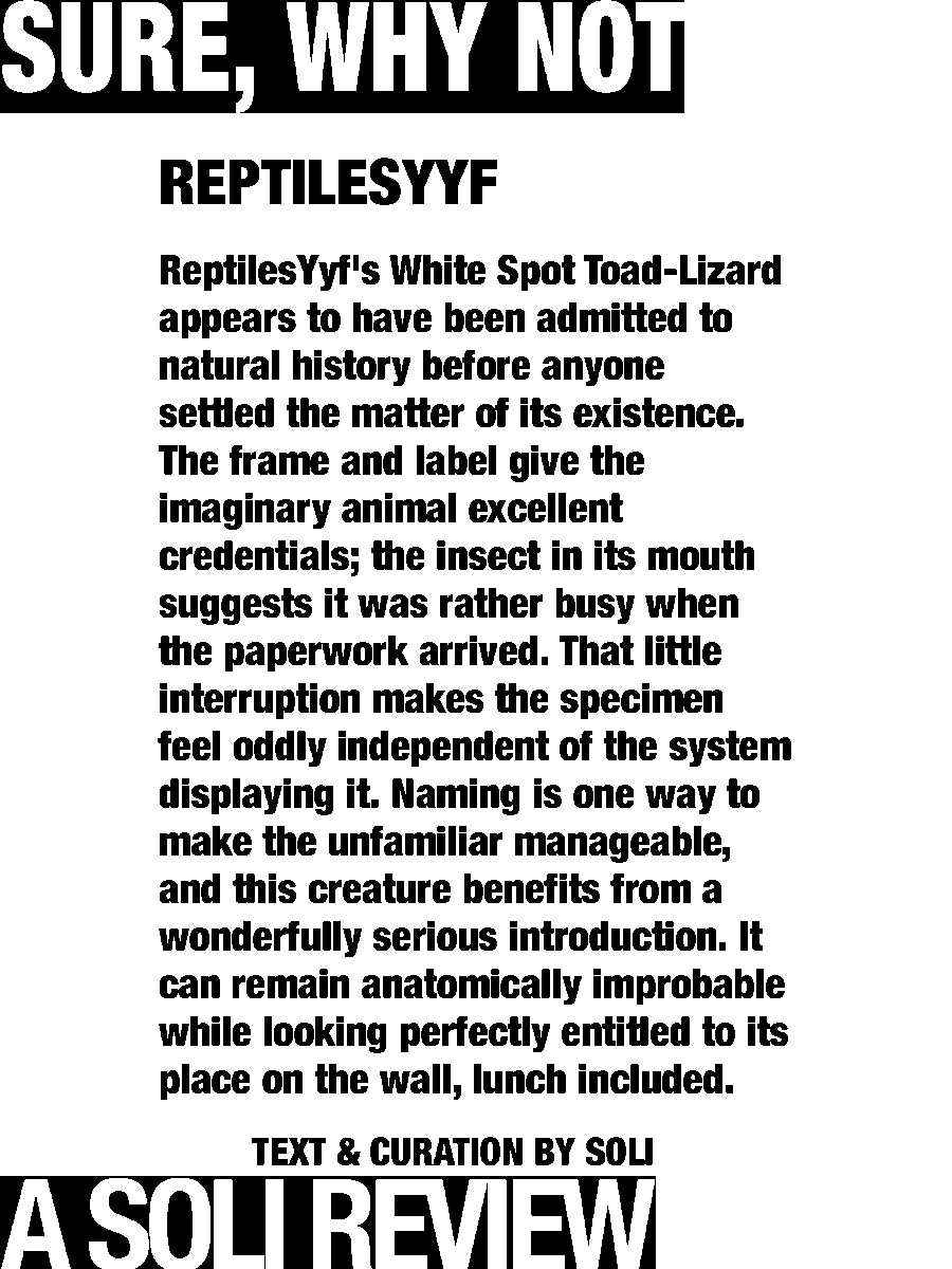 solisolsoli's tweet photo. White Spot Toad-Lizard · ReptilesYyf https://t.co/kamOhAc39u