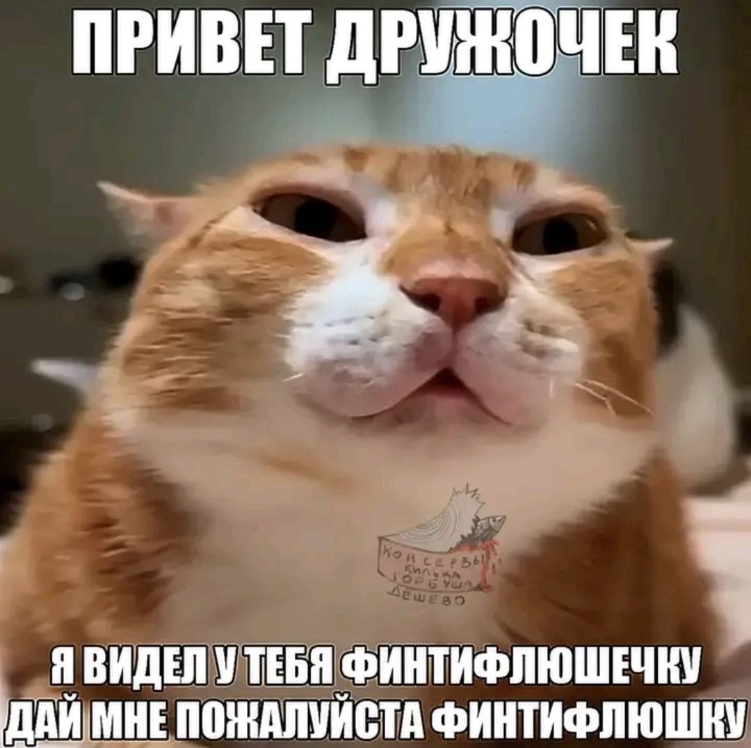 egalenko's tweet photo. https://t.co/IRZB86ApNZ