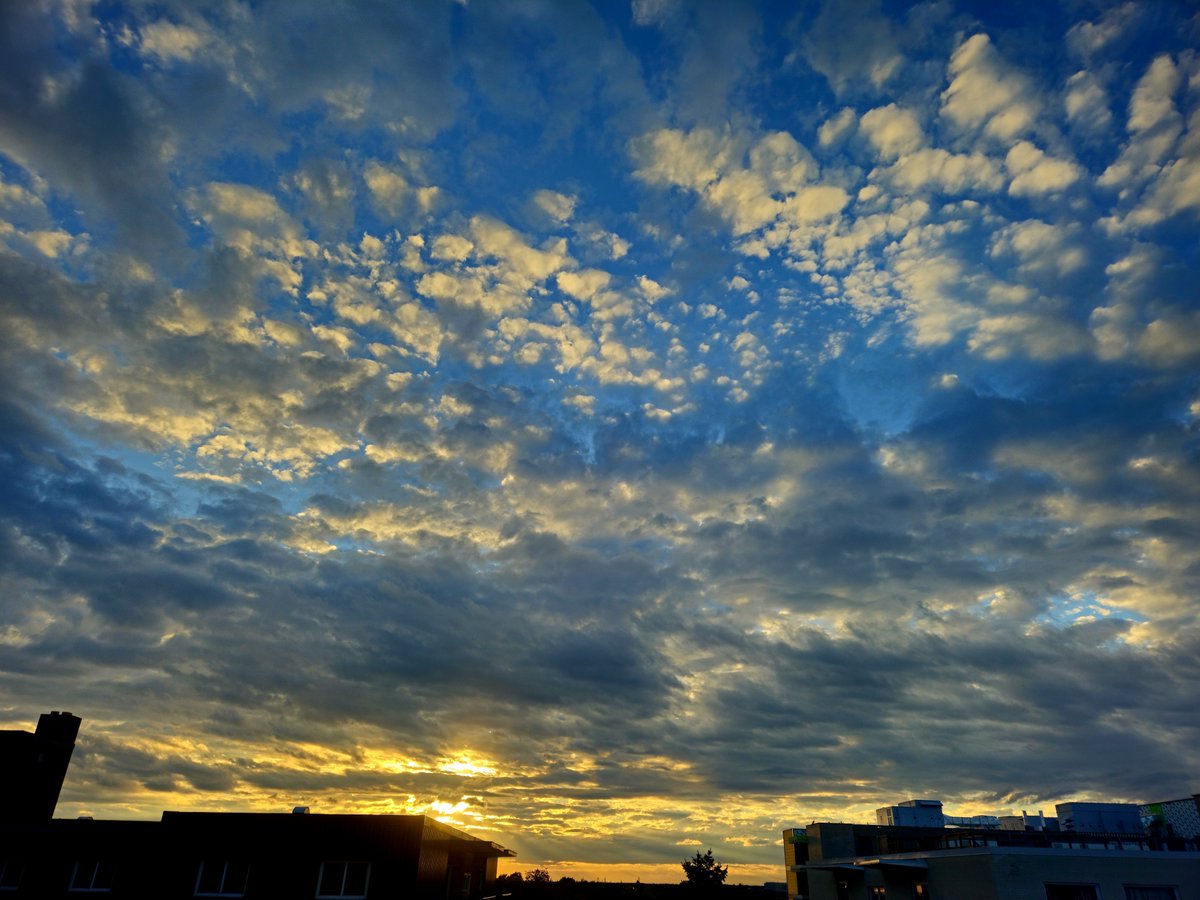Swordwall's tweet photo. The sky was skying today โป
โ๏ธ๐คโ๏ธ
Last week of isolation for MRSA treatment and then freeeee~feels like forever
#ChronicallyIllest #ygk
#spoonie ๐ฅ #skysloot https://t.co/ImHA5PowIE