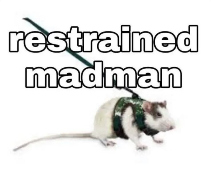 R0YALRODENT's tweet photo. @CustosSculptus https://t.co/FeWJr6hmtn