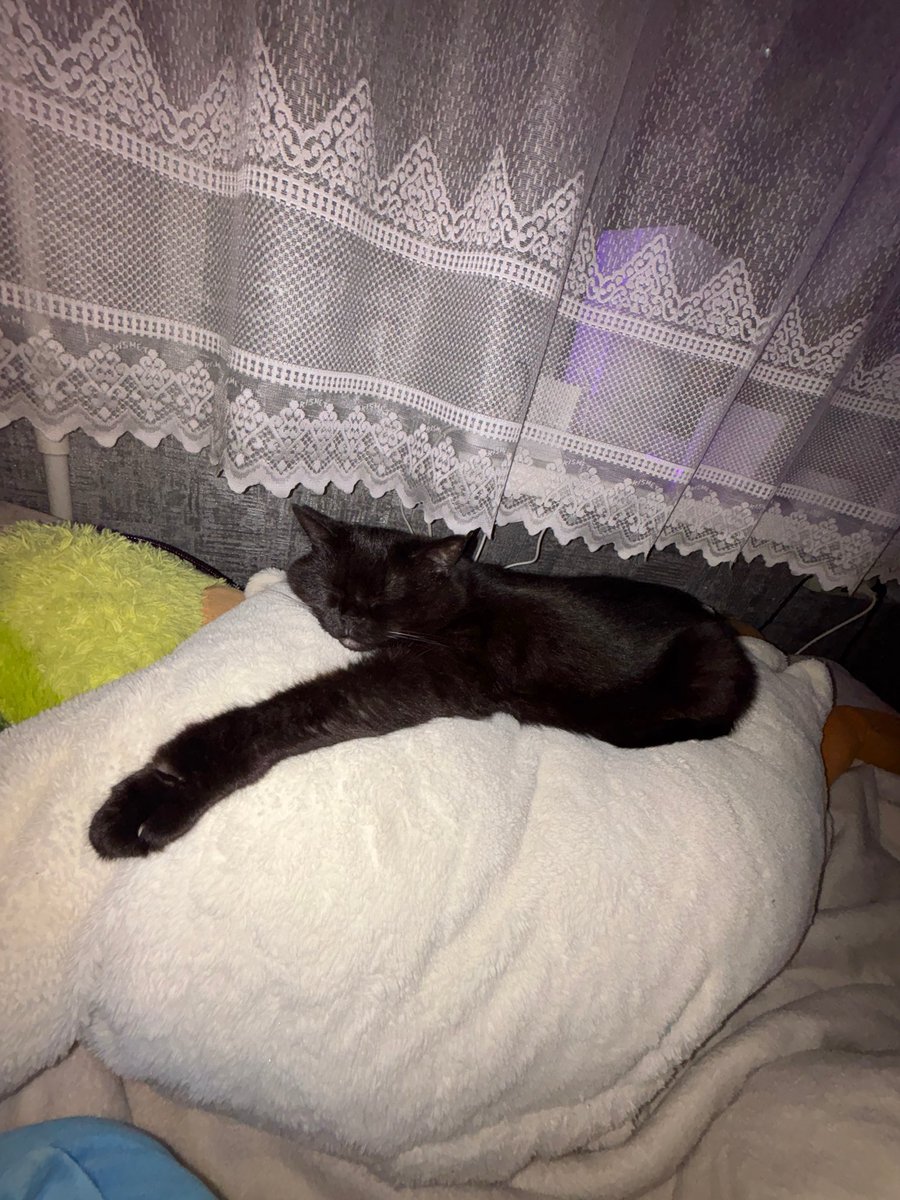 morocklarry's tweet photo. у моей подружки любимой сегодня день рождения❤️‍🩹 
(и еще фотки как я вайбила)
#янищая https://t.co/rM3tPiIQZc