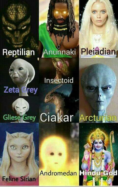 Shannon45531518's tweet photo. #ET #Feline #Alien #FirstContact https://t.co/3A4zbFxhTT
