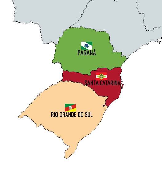 poponze's tweet photo. Flávio Bolsonaro recebeu 60% dos votos na região Sul, seu melhor desempenho entre as regiões do Brasil. https://t.co/Et27x0eg6D