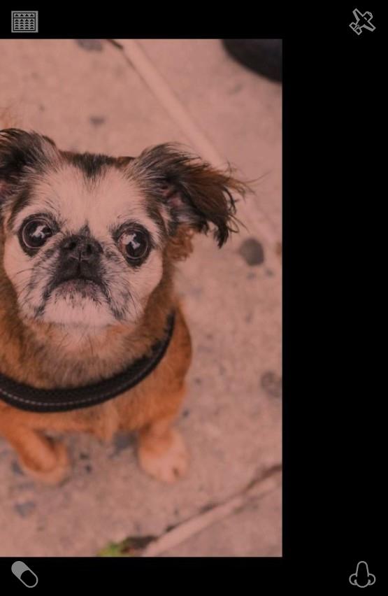kwalker74 tweet picture