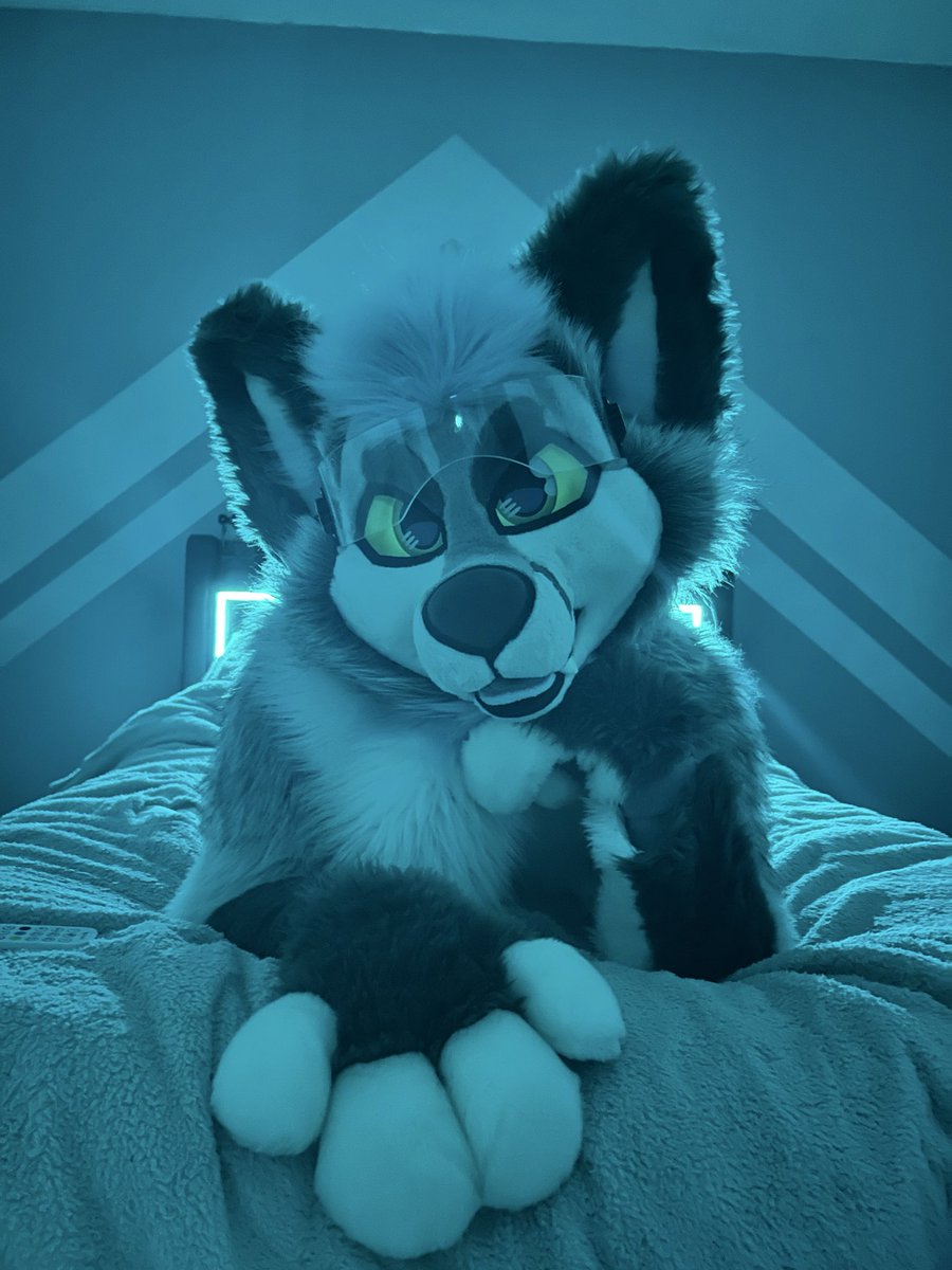 JukeFoxo's tweet photo. Bedroom eyes and pillow talk~ https://t.co/mTDMCfXBHu
