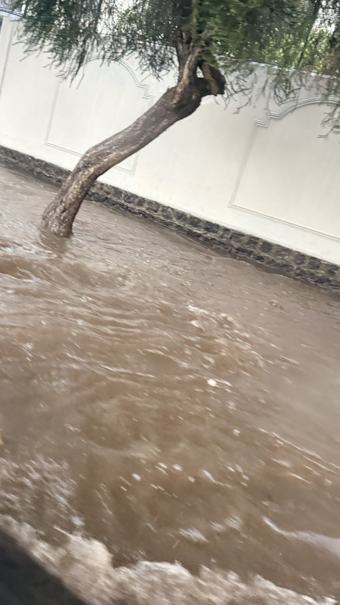 apsn68's tweet photo. @GKecuador Nadie está preparado para este tipo de granizada, esperemos que solo haya sido el Cordonazo de San Francisco !! https://t.co/psPTQVCVFV
