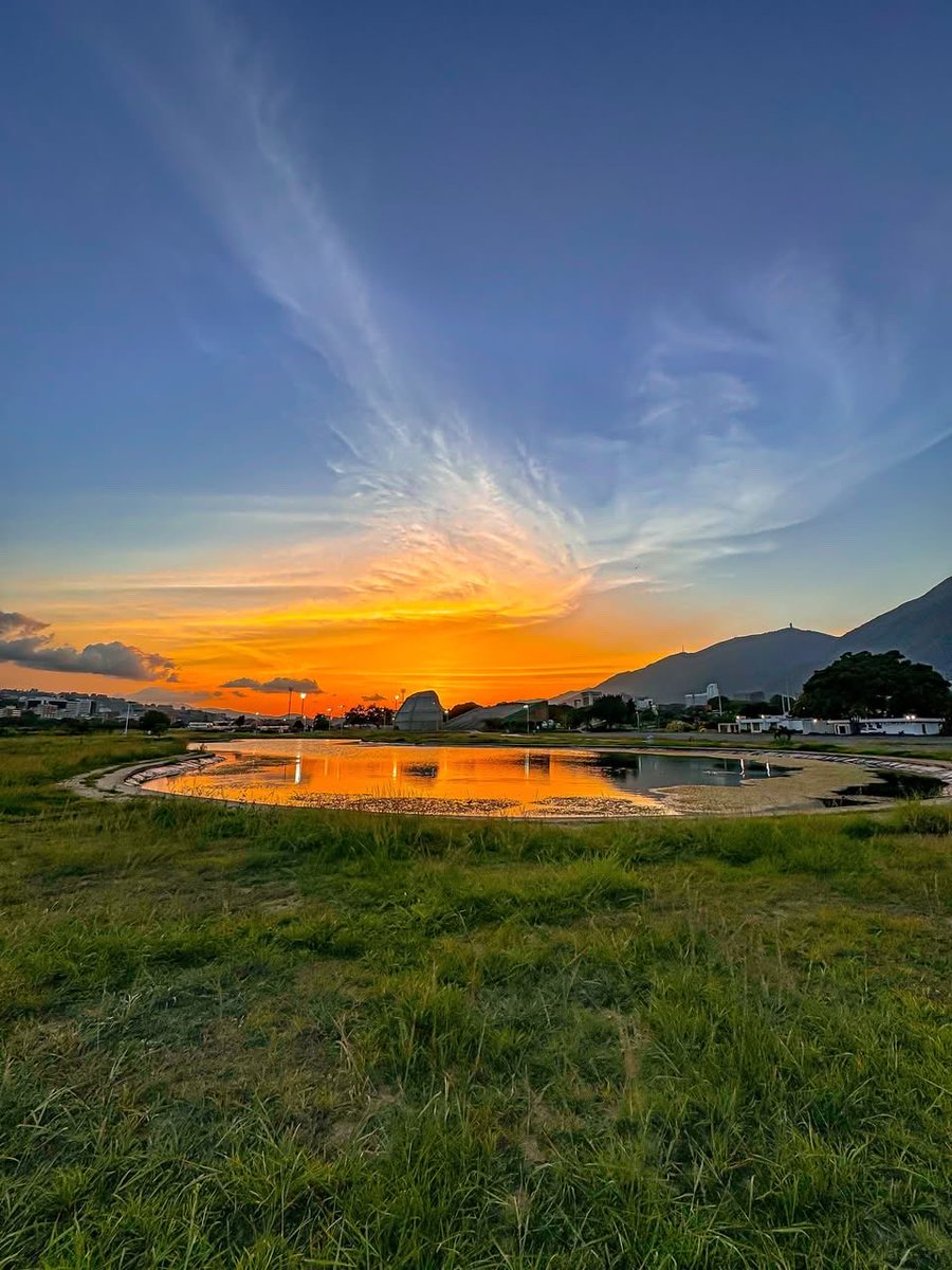 GianlucaCoccon1's tweet photo. Espectacular 
UN ATARDECER CARAQUEÑO 
desde el Parque del Este 
🇻🇪🇻🇪🇻🇪🇻🇪🇻🇪🇻🇪🇻🇪🇻🇪🇻🇪🇻🇪🇻🇪
@ottophotograph https://t.co/pXdn8sPtm5