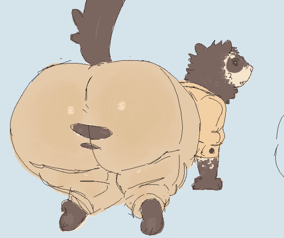 ColonThree_33's tweet photo. Ferret butt https://t.co/SBRrYW48j6