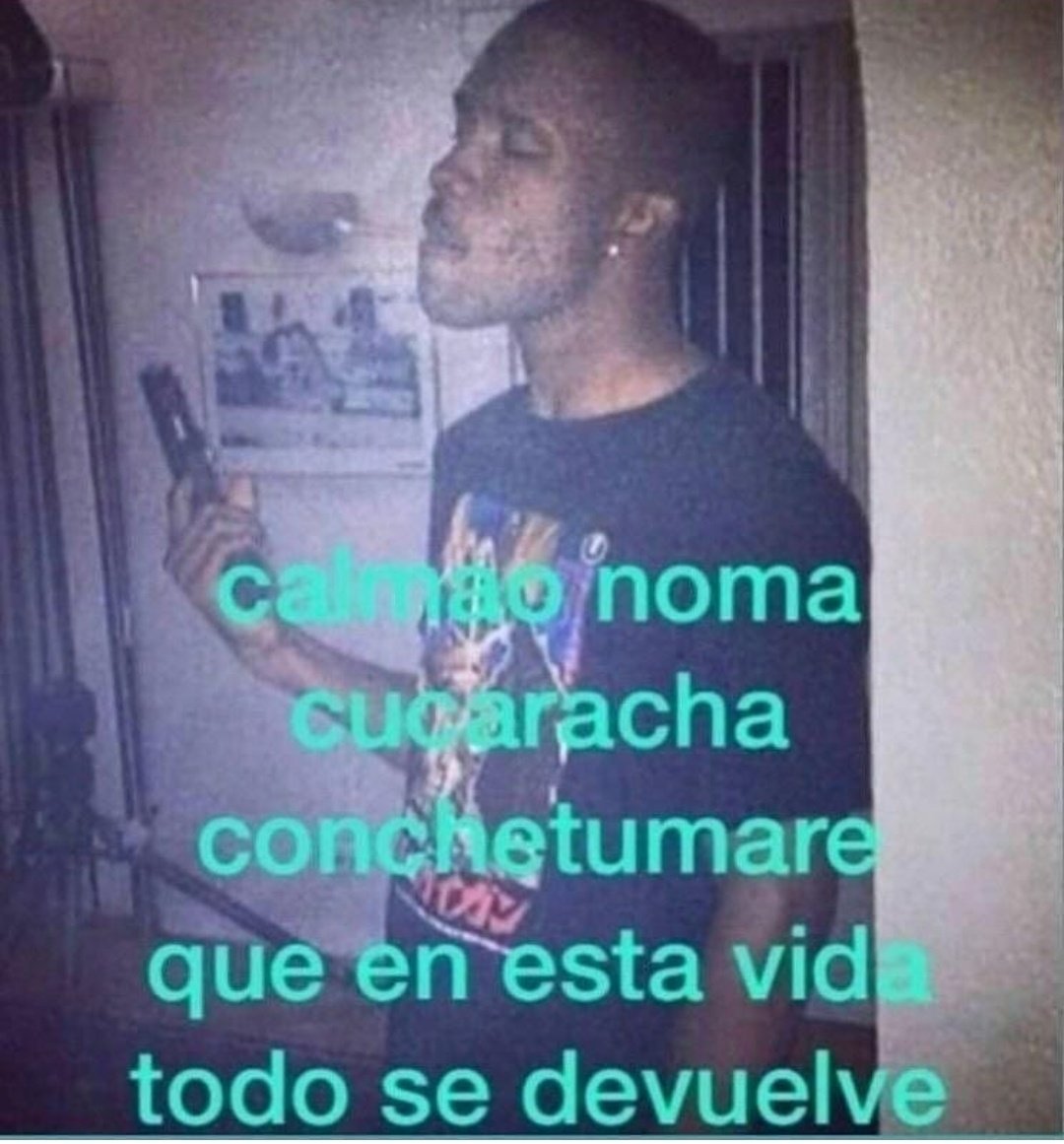 rilatarokkuma's tweet photo. la weona de mierda q escribió esa finísima prosa q encontré hace como un mes en ao3 subió el último capítulo y me tiró un final abierto https://t.co/dyBQSUdbCC