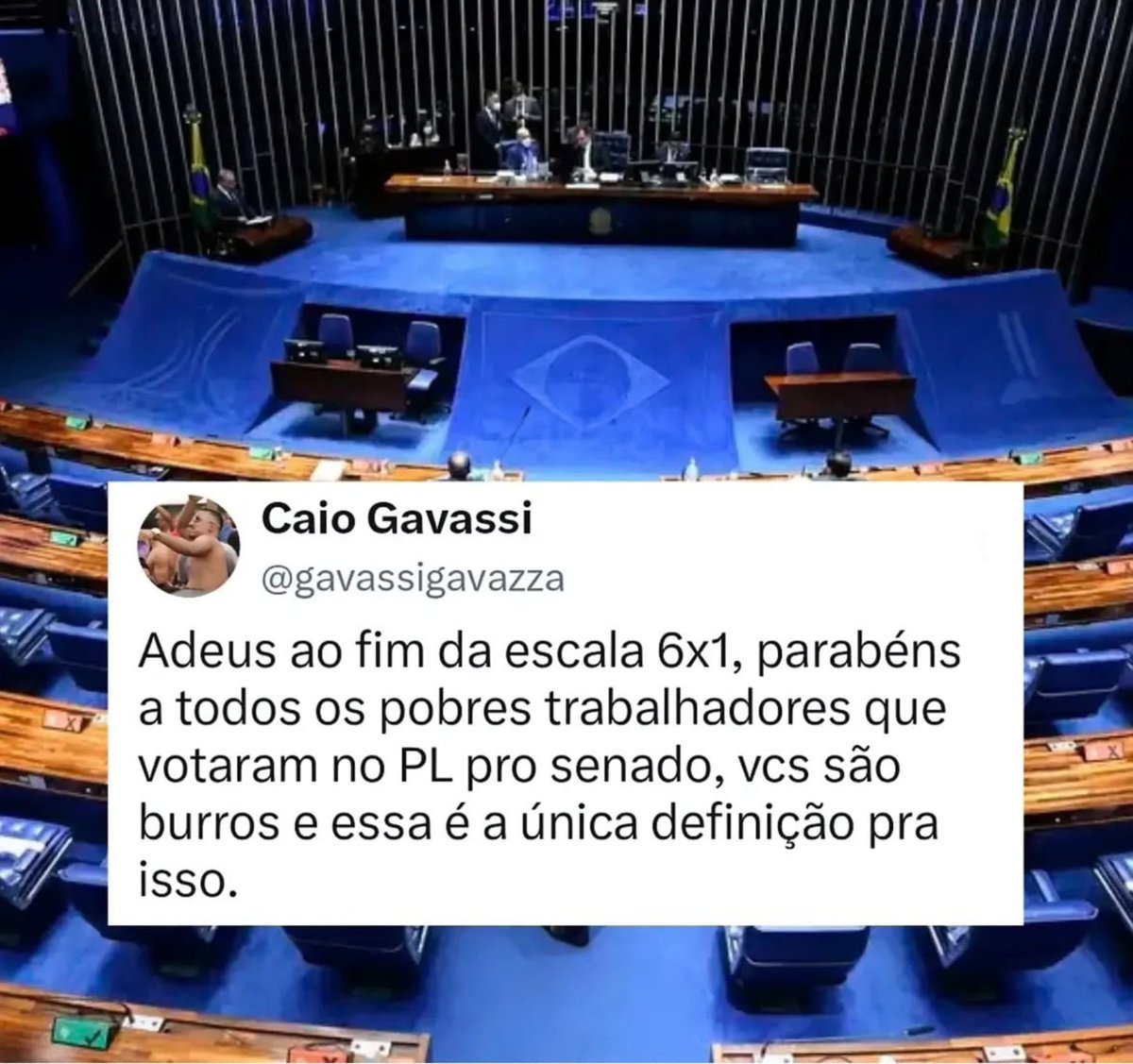 JaniValverde13's tweet photo. Parabéns aos trabalhadores BURROS q elegeram candidato ao senado da extrema-direita, adeus escala 6 x 1 https://t.co/sV34lmTlyo