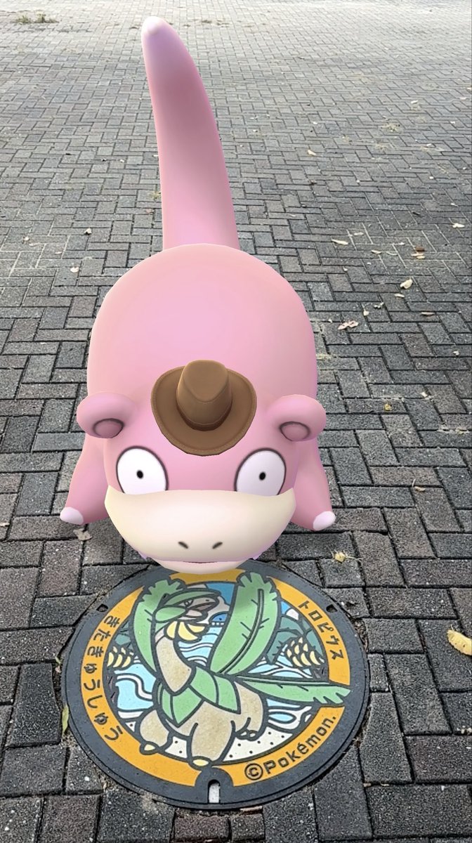 honotarosu29's tweet photo. ポケ活🍌✨️トロピウス持ってなかった🥲 https://t.co/VSMqml13Dc