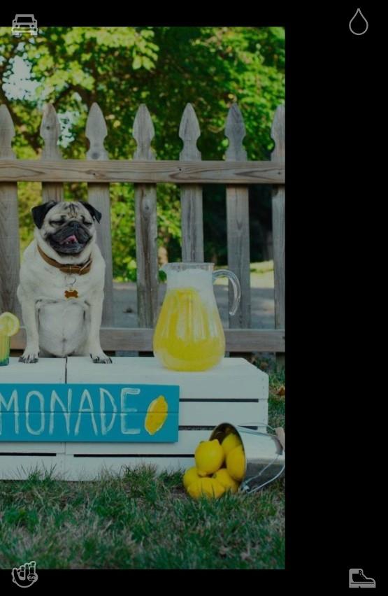 CrayonMaichan's tweet photo. Pause tight busy schedules for an hour step on soft green grass and listen to crickets sing True beauty never lives in grand events but small unnoticed warm bits nearby🛷Snow cleaning Road, clean https://t.co/4Dc0yXiK1q
