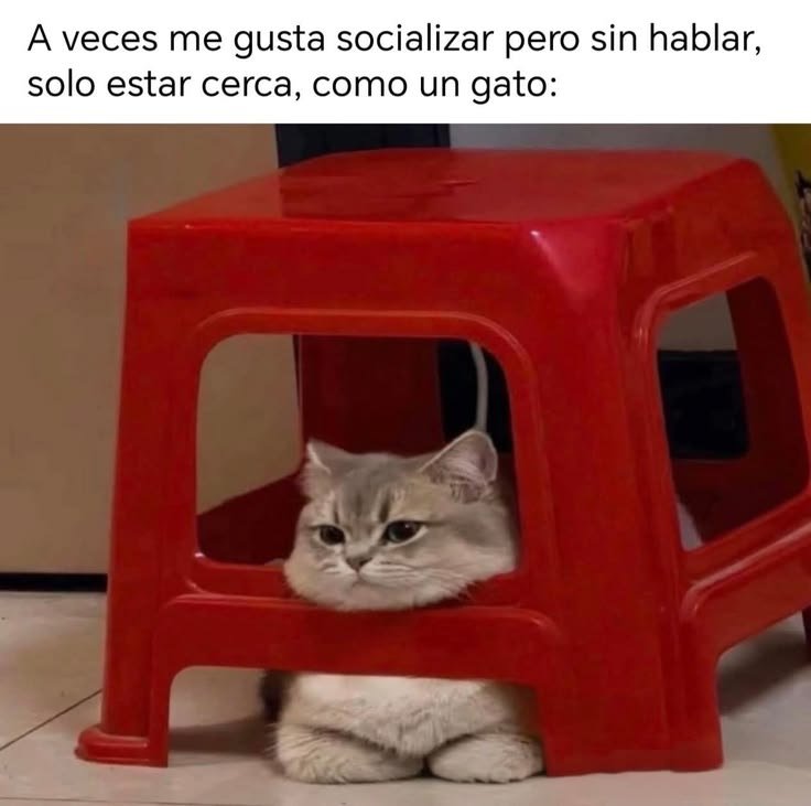 CarmenPerefl's tweet photo. https://t.co/zHGCGqFKmU