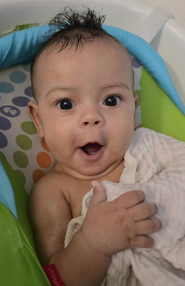 Imagecaptured's tweet photo. @Boomerful54 He has so many expressions. They crack me up. I think its his almost black brown eye. They're intense. https://t.co/iKbw5R9QQr