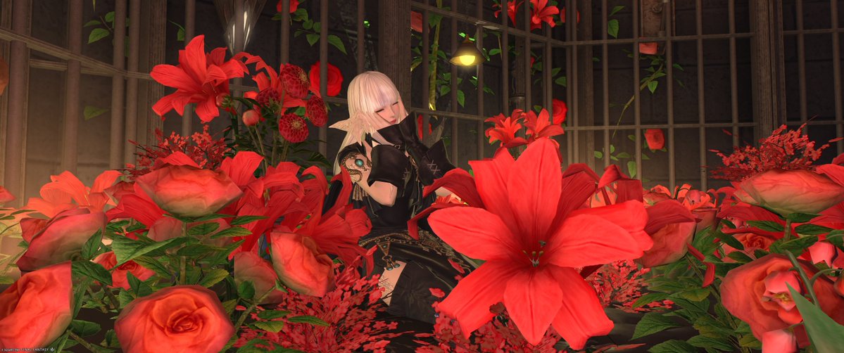 pochiii9223's tweet photo. ◊*○°𝐺𝑜𝑜𝑑 𝑚𝑜𝑟𝑛𝑖𝑛𝑔°○*◊

 #おはウラ  #FF14SS https://t.co/6q0vGgZn3f