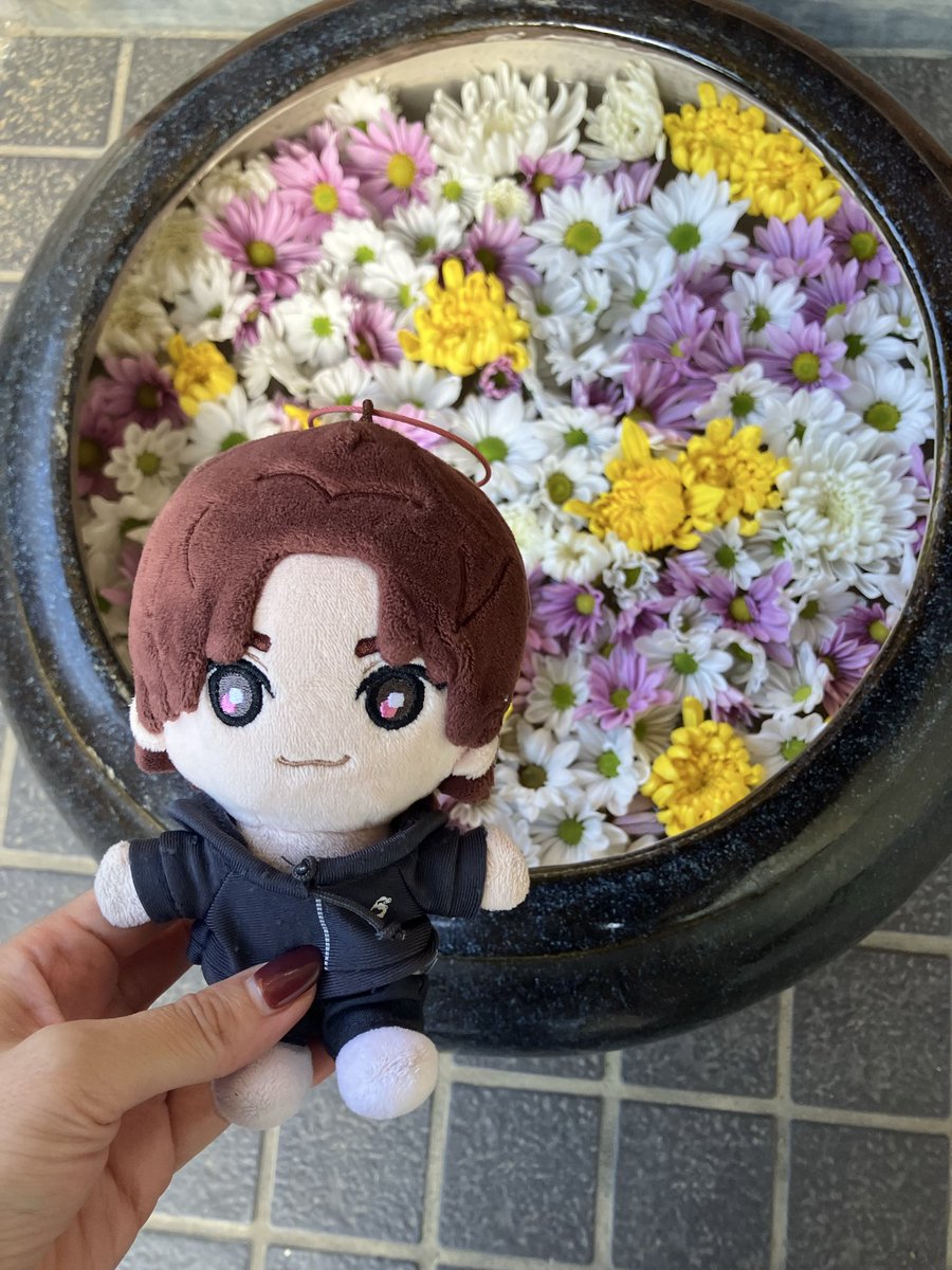 tukimi1031's tweet photo. #みんなのストぬい見てみたい https://t.co/whicxOA0Je