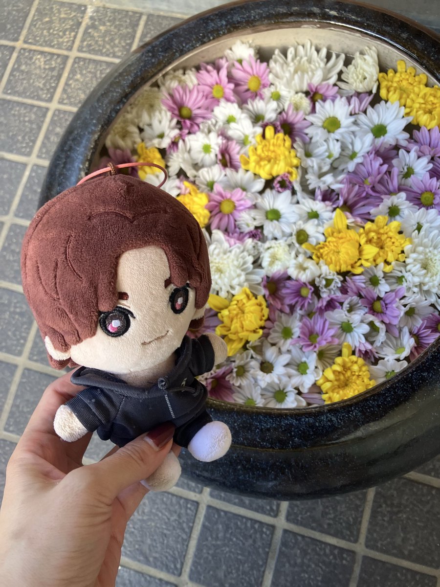 tukimi1031's tweet photo. #みんなのストぬい見てみたい https://t.co/whicxOA0Je