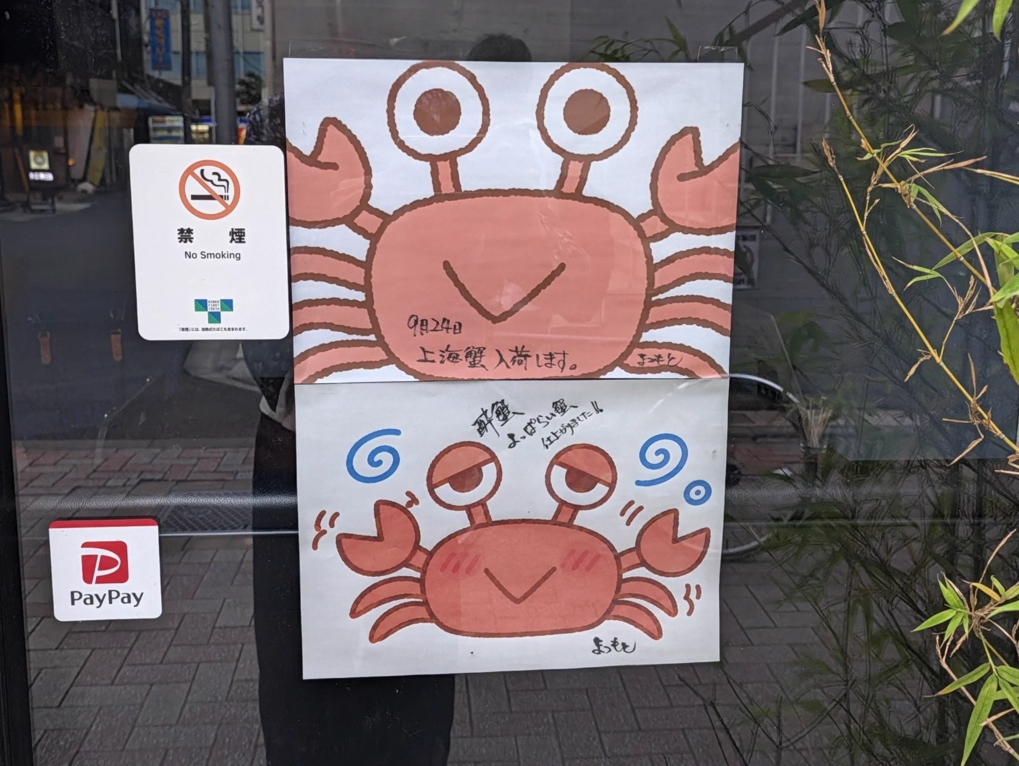 ビロくん on X: 