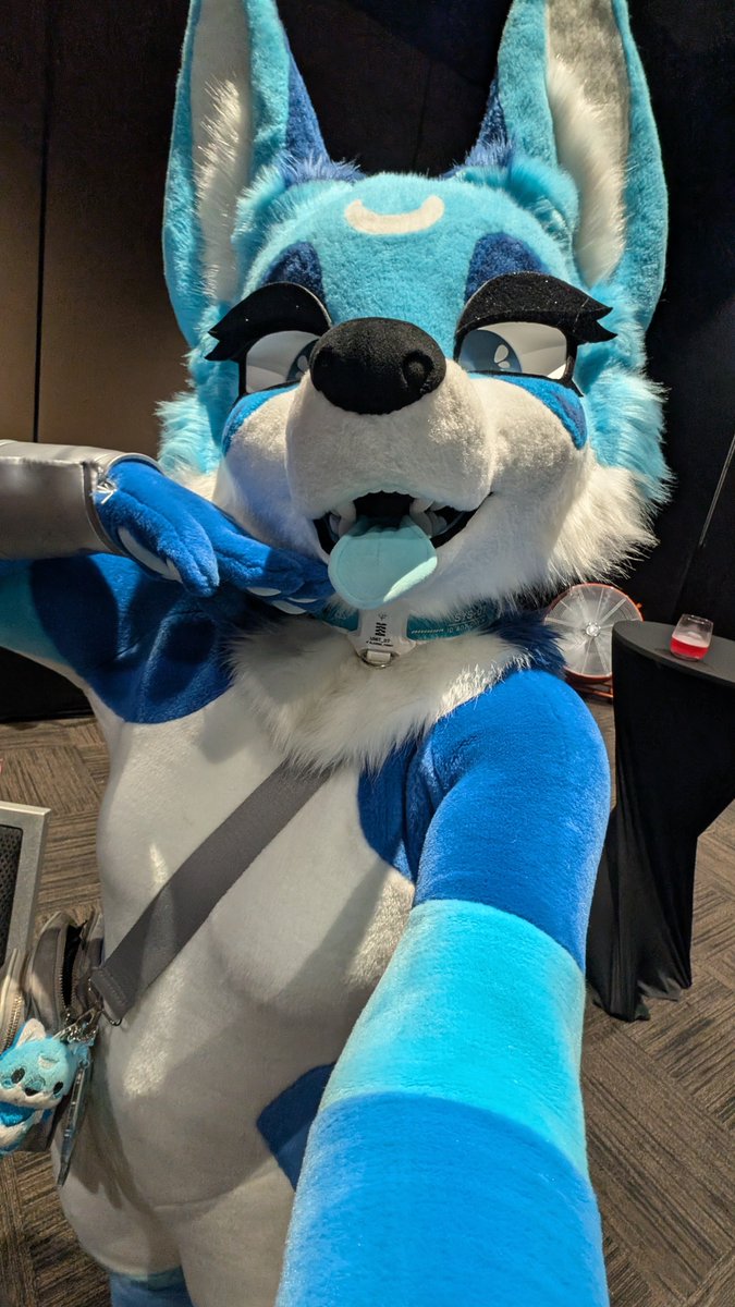 LaikaCoyote's tweet photo. CREETUR 💙 https://t.co/rmZWkHuE3S