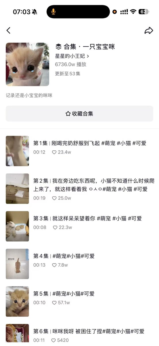 xiaobudingdev's tweet photo. 这是我在抖音上见过最最最meme的小猫了，和我的头像有的一拼了。它的名字叫做宝宝咪，评论区里有着许多的二创表情包，我相信它将会是一个非常优秀的猫咪跑者，这实在是太meme了。选择QQQB底池，发射！https://t.co/TeIRa4Jb6N https://t.co/mDzyNvjsjN